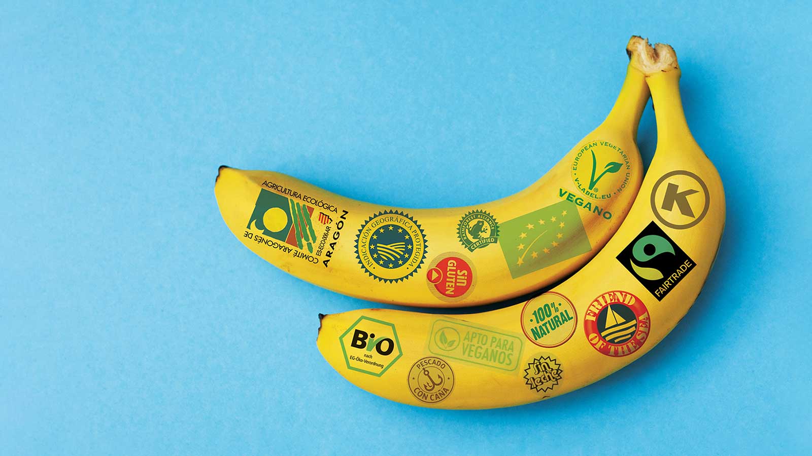 Entendiendo el gluten: descubre qué es y qué intolerancias existen