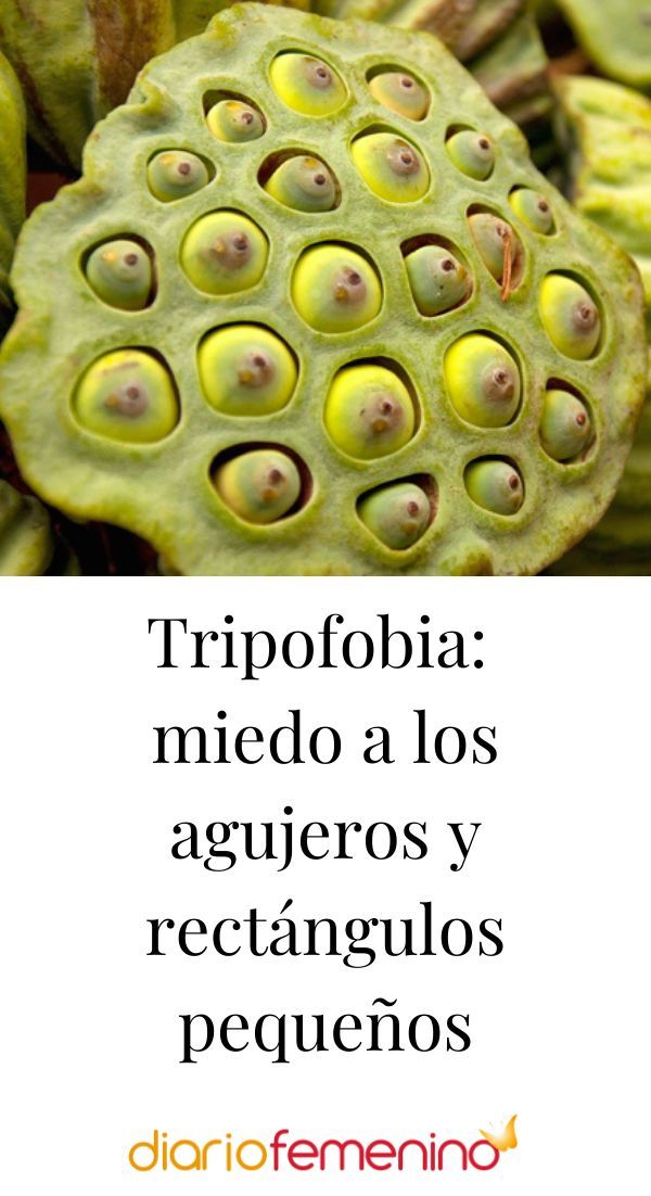 Tips para vencer la “fobia a la Navidad”