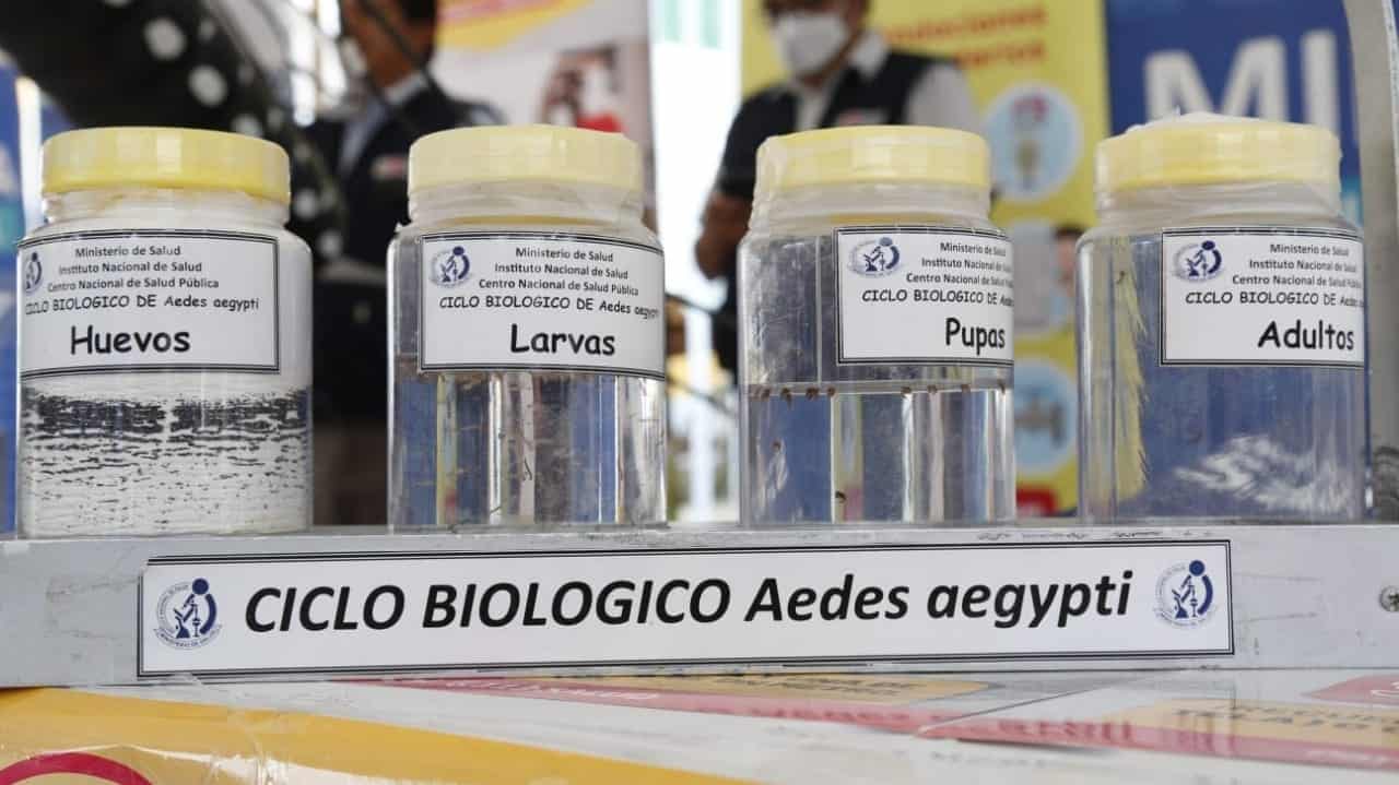 El Impacto del Cambio Climático en la Propagación del Dengue en Perú